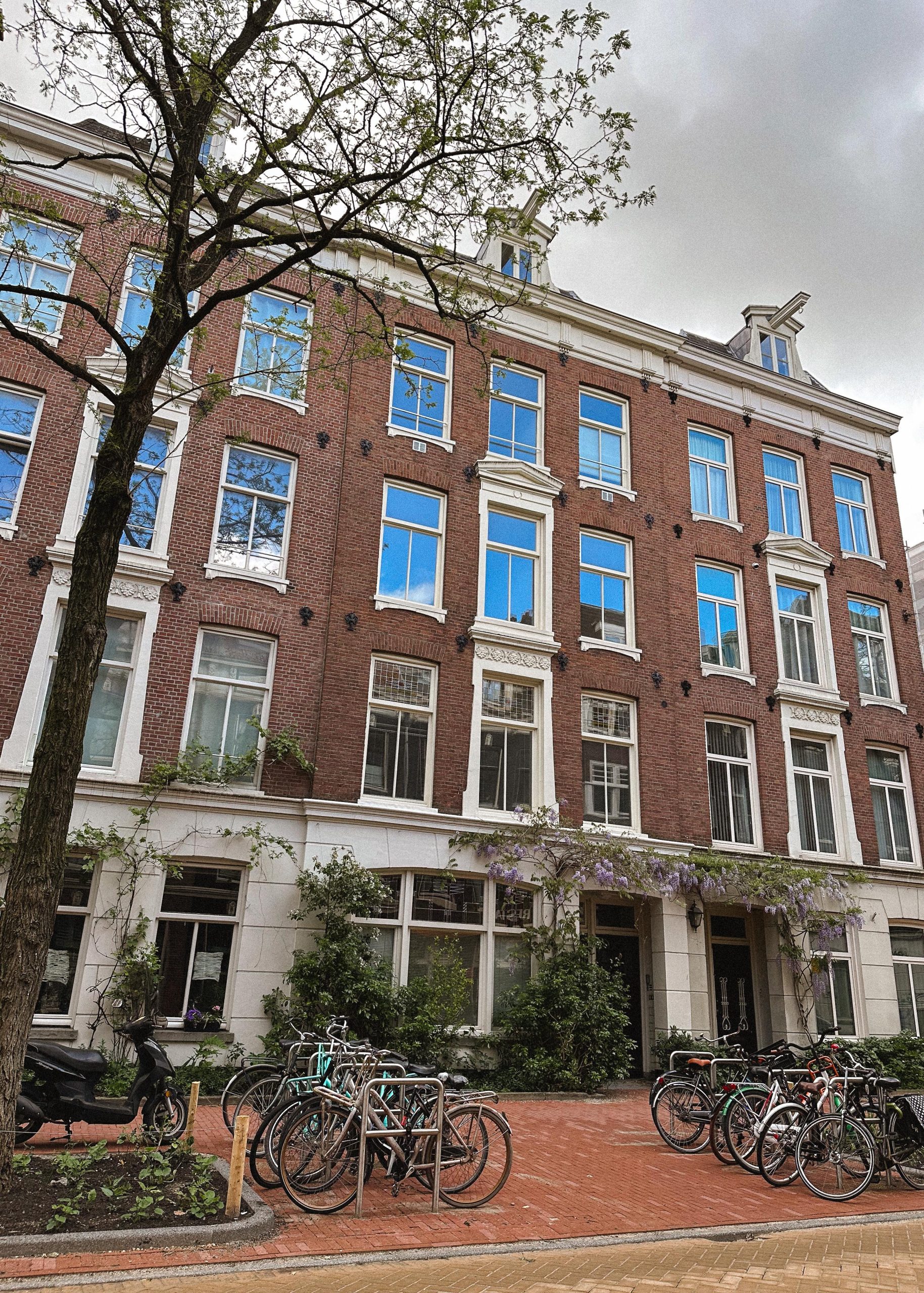 De Pijp Neighbourhood